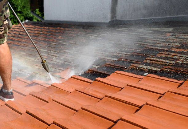 Best Garage Pressure Washing  in Mont Alto, PA